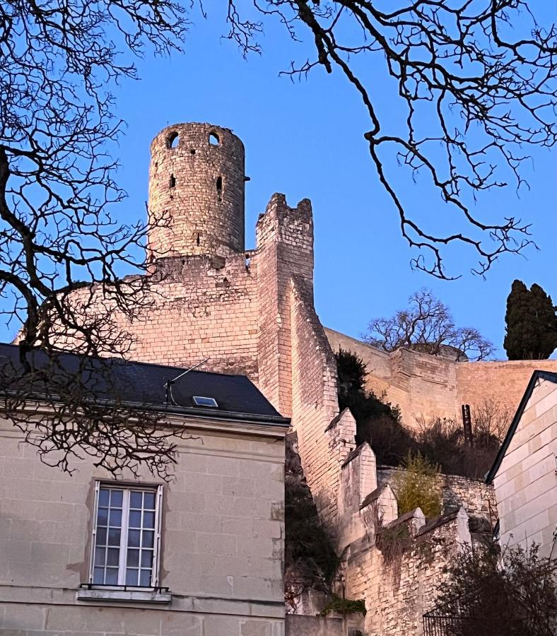 Le Rabelais, Superbe Appartement En Duplex, Proche Forteresse Et Monument Historique Chinon Exterior foto